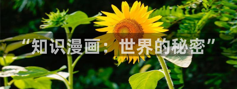 (尾巴漫画)+(入口)