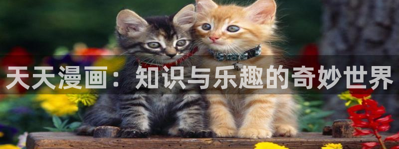 尾巴漫画免费阅读：天天漫画：知识与乐趣的奇妙世界