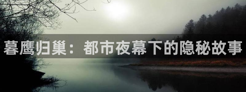 摇尾巴漫画：暮鹰归巢：都市夜幕下的隐秘故事
