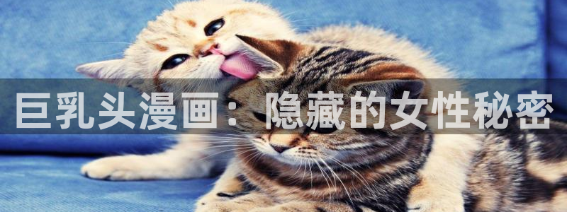 尾巴漫画免费漫：巨乳头漫画：隐藏的女性秘密